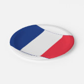 フランスのパーティープレート ペーパープレート (アングル)