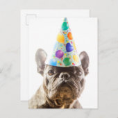 フランスのパーティー帽子のブルドッグ ポストカード (正面/裏面)