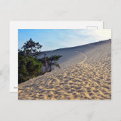 フランスのピラトの砂丘 ポストカード (正面/裏面)