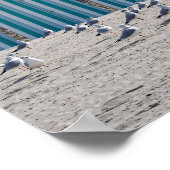 フランスのフォートマホンビーチのカモメ。 ポスター (角)