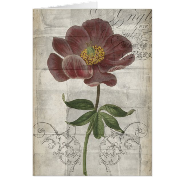 フランスのフローラ (正面)