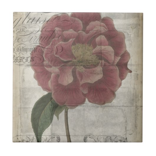 フランスのフローラ タイル (正面)