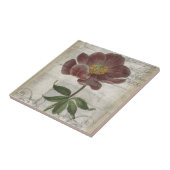 フランスのフローラ タイル (側面)