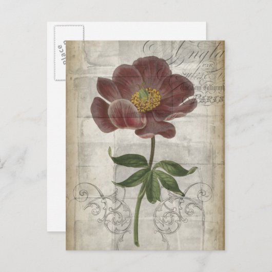 フランスのフローラ ポストカード (正面/裏面)