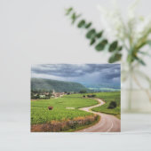 フランスのブドウ畑のブルゴーニュ ポストカード (スタンド正面)