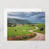 フランスのブドウ畑のブルゴーニュ ポストカード (正面/裏面)