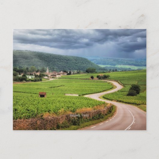 フランスのブドウ畑のブルゴーニュ ポストカード (正面)