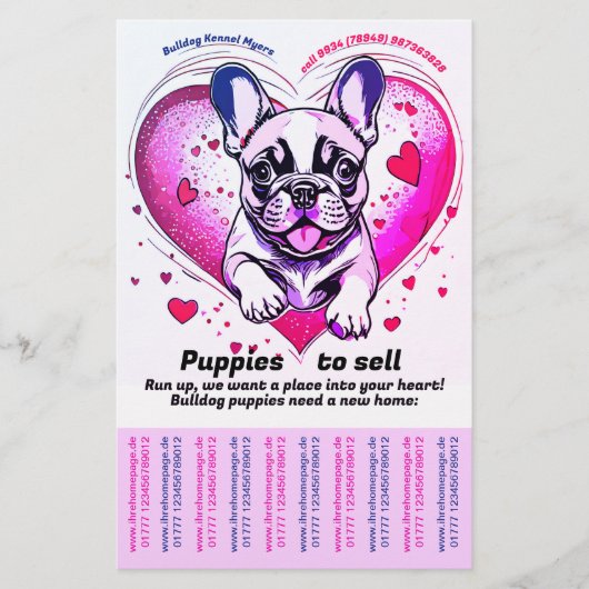 フランスのブルドッグで家に入る チラシ (正面)