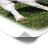 フランスのブルドッグ9Y202D-134 ポスター (角)