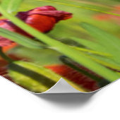 フランスのポピー畑の閉鎖 ポスター (角)