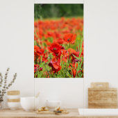 フランスのポピー畑の閉鎖 ポスター (キッチン)
