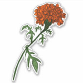 フランスのマリゴールド花インクスケッチ シール (正面)