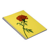 フランスのマリゴールド花インクスケッチ ノートブック (右側)