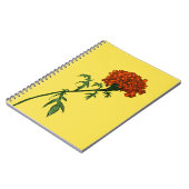 フランスのマリゴールド花インクスケッチ ノートブック (左側)