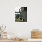 フランスのメントンにある牧場で犬と馬 ポスター (キッチン)