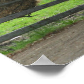 フランスのメントンにある牧場で犬と馬 ポスター (角)