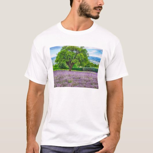 フランスのラベンダー畑の木 Tシャツ (正面)