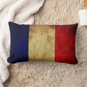 フランスのヴィンテージのグランジなスタイルの装飾用クッションの旗 ランバークッション (ブランケット)