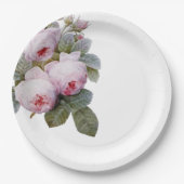 フランスのヴィンテージバラ ペーパープレート (正面)