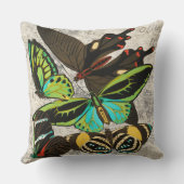 フランスのヴィンテージ蝶イラストレーション-1 クッション (裏面)