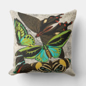 フランスのヴィンテージ蝶イラストレーション-1 クッション (正面)