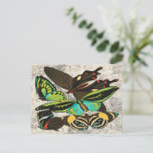 フランスのヴィンテージ蝶イラストレーション-1 ポストカード (スタンド正面)