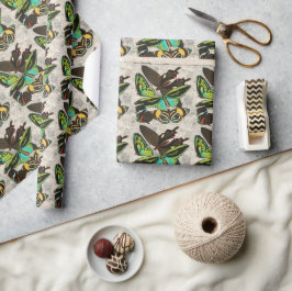 フランスのヴィンテージ蝶イラストレーション-1 ラッピングペーパー