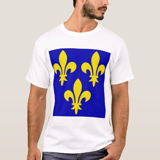 フランスの中世の旗 Tシャツ (正面)