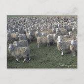 フランスの人 ポストカード (正面)