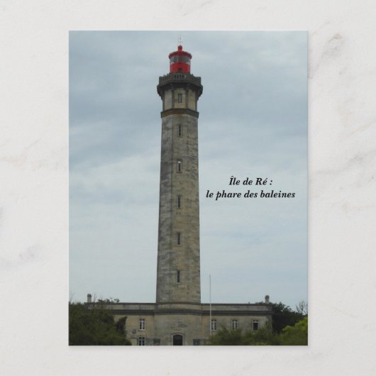 フランスの写真イル・デ・レ –  ポストカード (正面)