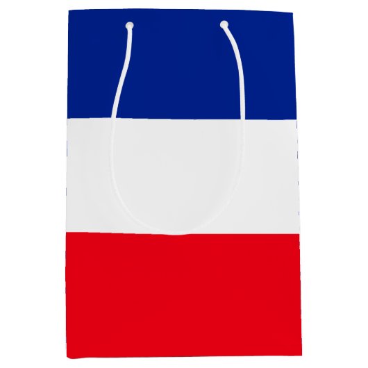 フランスの国旗の愛国色の国際的旅行 ミディアムペーパーバッグ (正面)