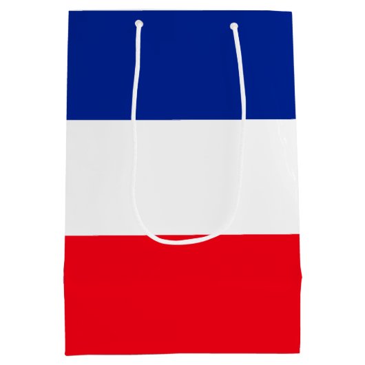 フランスの国旗の愛国色の国際的旅行 ミディアムペーパーバッグ (裏面)