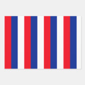 フランスの国旗の愛国色の国際的旅行 ラッピングペーパーシート (正面2)