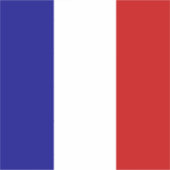 フランスの国旗 シール (正面)