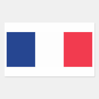 フランスの国旗 長方形シール