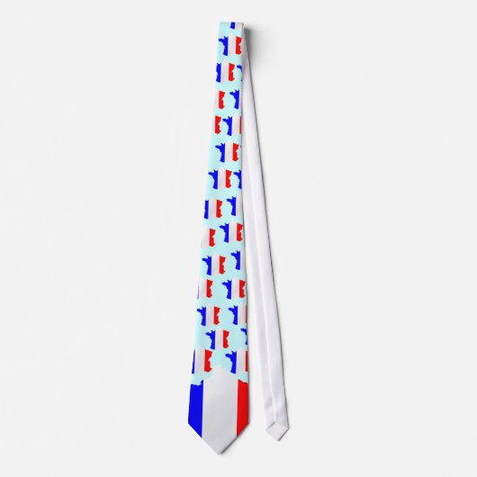 フランスの地図と国旗のタイ ネクタイ (正面)