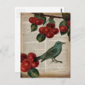 フランスの地方の鳥 レトロ ボタニカル 赤いさくらんぼ ポストカード (正面/裏面)