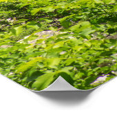 フランスの川の上のローマ水路 ポスター (角)