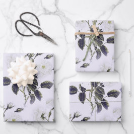 フランスの彫り込みフローラToile-Gray、Pink、Blue ラッピングペーパーシート