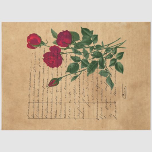 フランスの手書きと赤いバラシリーズデザイン3 薄葉紙 (正面)