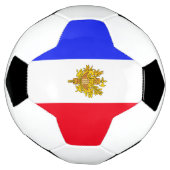 フランスの旗 サッカーボール (回転)