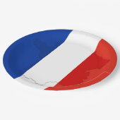 フランスの旗 ペーパープレート (アングル)