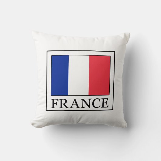 フランスの枕 クッション (正面)