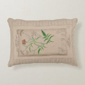 フランスの植物画 ハートワート アクセントクッション (正面)
