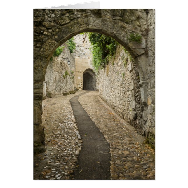 フランスの灰色の敷石の通り (正面)