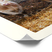 フランスの牛 ポスター (角)