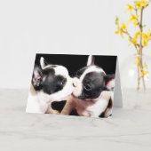 フランスの犬の子犬 カード (黄色い花)