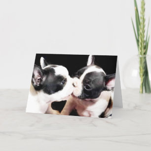 フランスの犬の子犬 カード