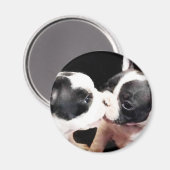 フランスの犬の子犬 マグネット (正面/裏面)