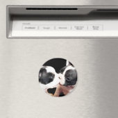 フランスの犬の子犬 マグネット (インサイチュ (食洗機))